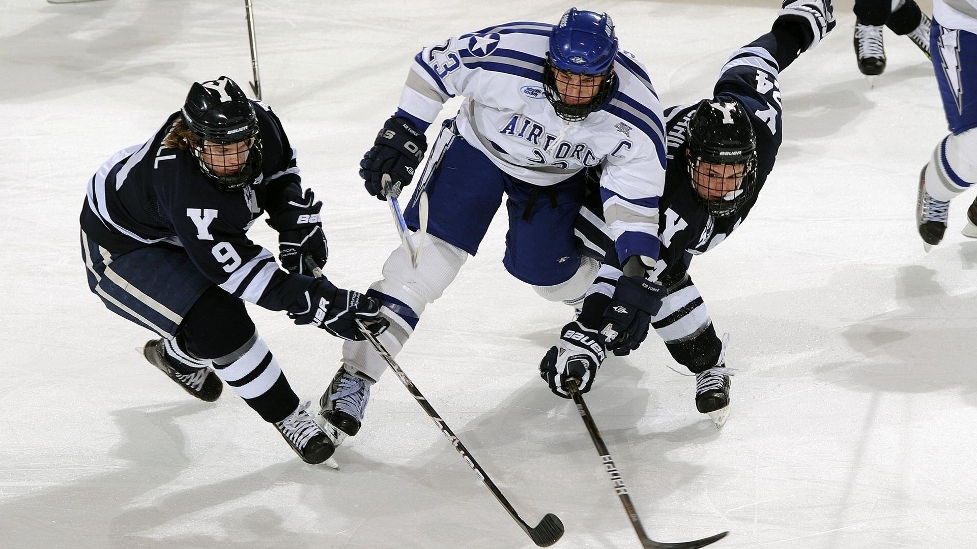 2026体育赛事热点新闻，近期体育赛事报道